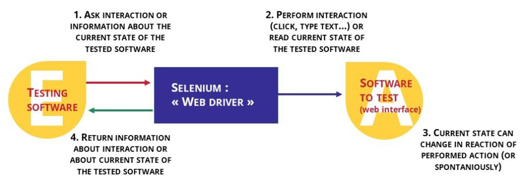 Figure 5: Selenium representation