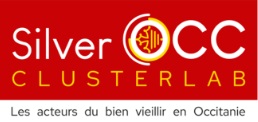 Logo Silver Occitanie.