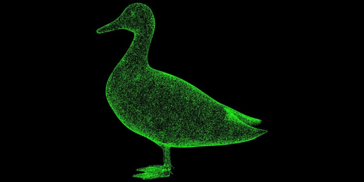 Duck software architecture